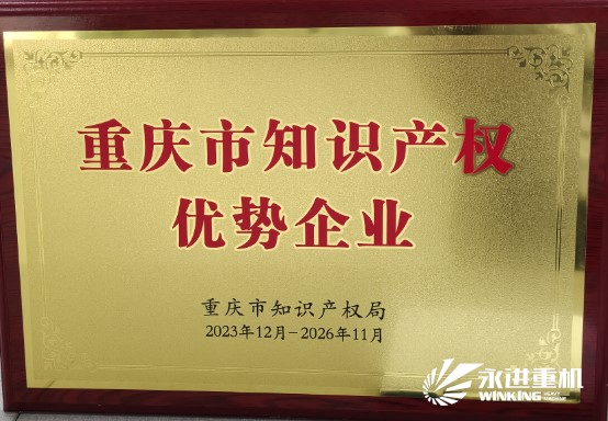 重慶市知識產(chǎn)權(quán)優(yōu)勢企業(yè)